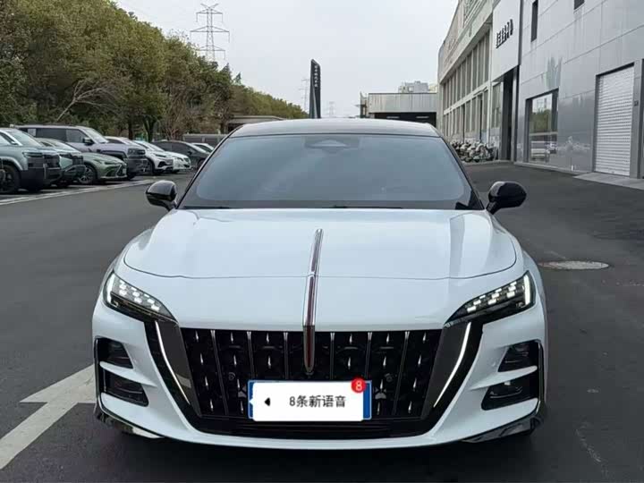 Hongqi H9 2020 2.0T Zhilian Qixiang Edition