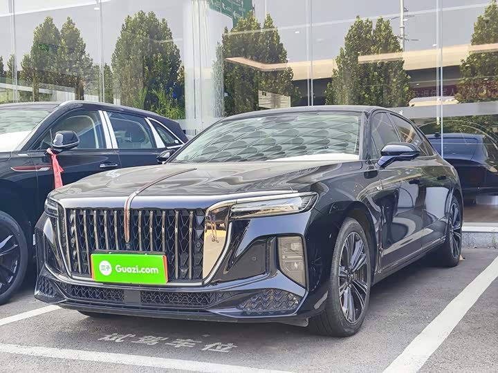 Hongqi H9 2024 2.0T Qixiang Private Fashion Edition