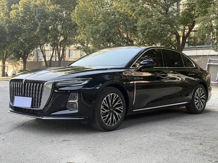 Hongqi H5 2023 2.0T Automatic Zhilianqichang Edition
