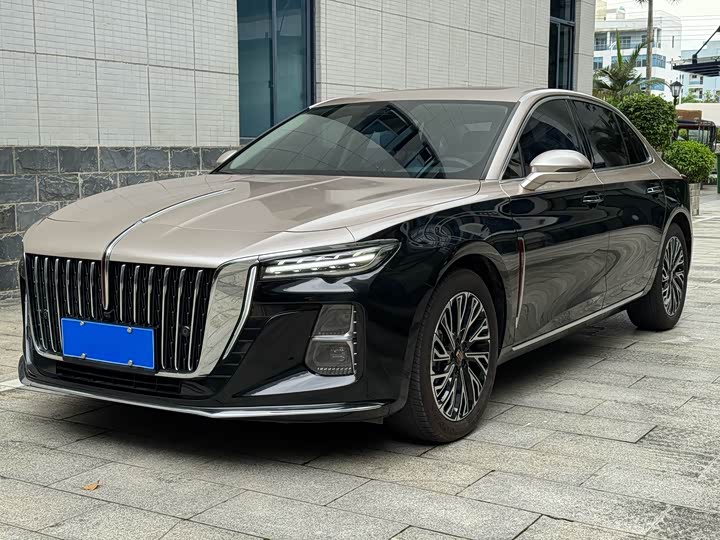 Hongqi H5 2023 2.0T Automatic Zhilian Qichang Edition