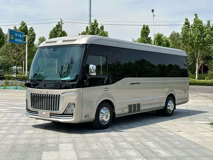 Hongqi Golden Sunflower Guoyue 2024 3.0T Business Edition 12-seater