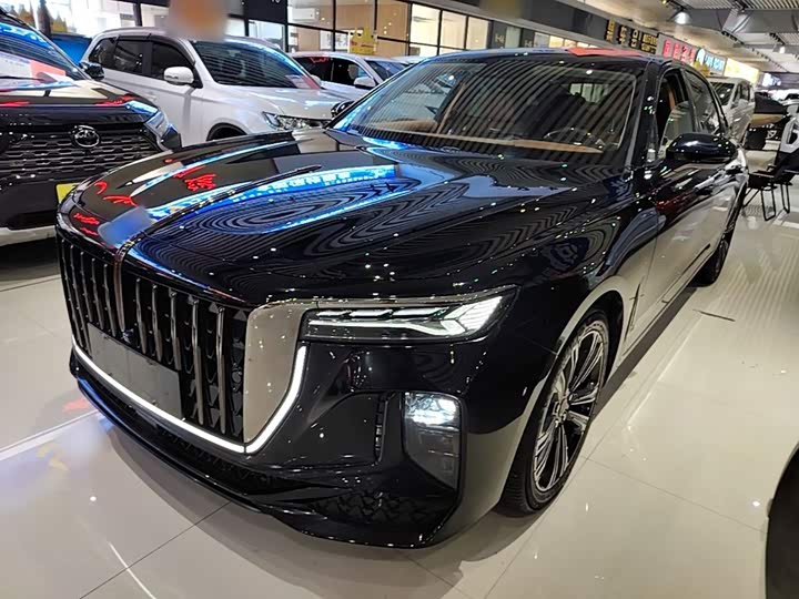 Hongqi H9 2024 2.0T Qixiang Private Fashion Edition