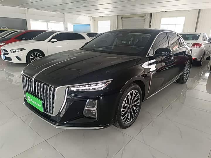 Hongqi H5 2024 2.0T Automatic Zhilian Qichang Edition
