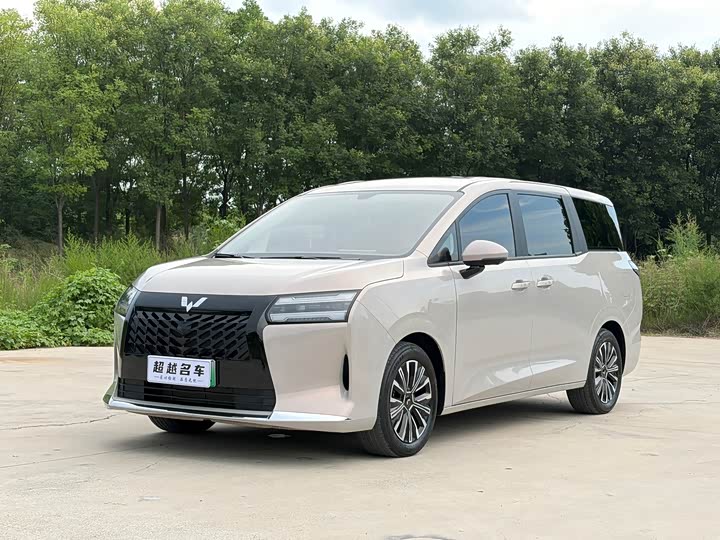 Starlight 730 New Energy 2025 plug-in hybrid 125km luxury model