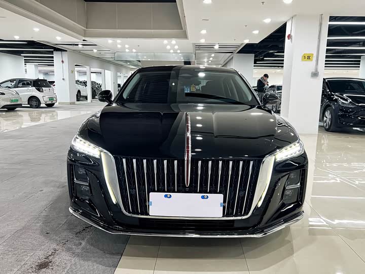 Hongqi H5 2024 2.0T Automatic Zhilian Qichang Edition