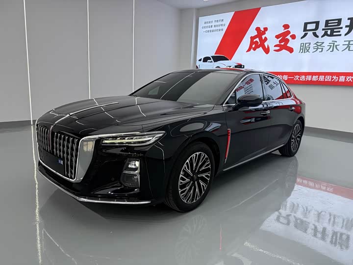 Hongqi H5 2024 2.0T Automatic Zhilian Qichang Edition