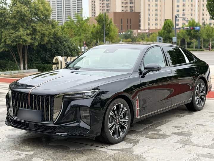 Hongqi H9 2024 2.0T Qichang Private Fashion Edition