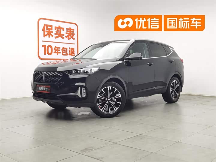 Wei brand VV6 2021 2.0T four-wheel drive Zhiyu 