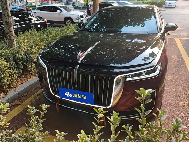 Hongqi H9 2023 Model 2.0T Zhilian Qixiang Edition