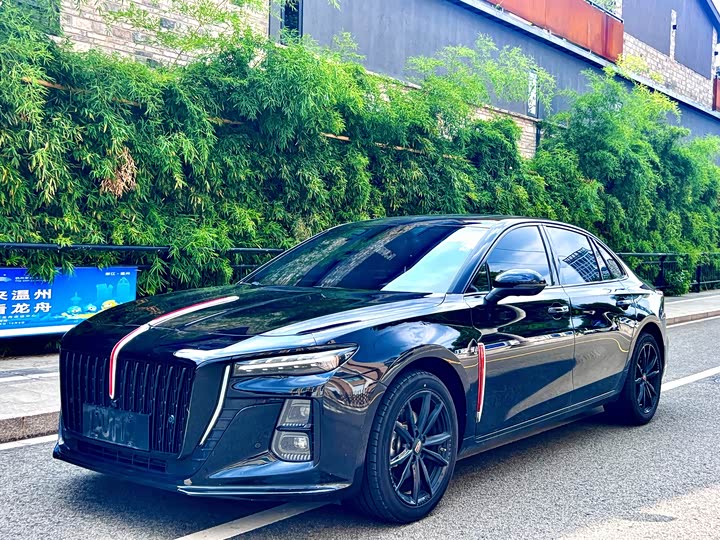 Hongqi H5 2025 2.0T automatic Xuanying 2 million units commemorative edition
