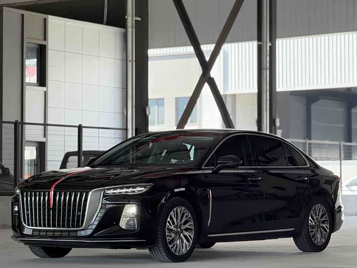 Hongqi H5 2024 2.0T Automatic Zhilianqichang Edition