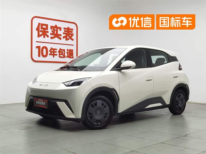 Seagull 2024 Honor Edition 305km Vitality Edition