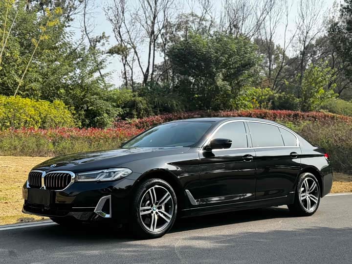 5 2021 Model 530Li Version Luxury