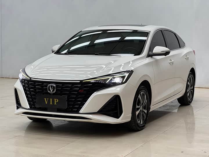 Yidong 2023 Changxiang Edition PLUS Blue Whale NE 1.4T GDI DCT Distinguished Edition