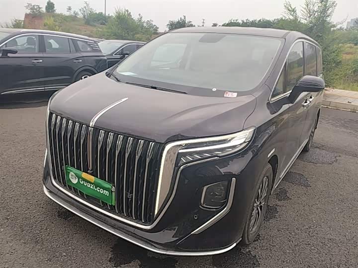 Hongqi HQ9 PHEV 2024 2.0T four-wheel drive business version
