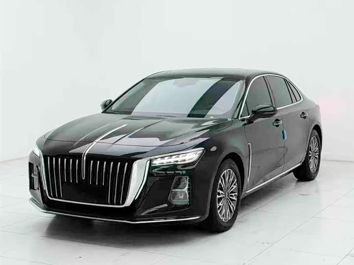 Hongqi H5 2024 2.0T Automatic Zhilian Qichang Edition