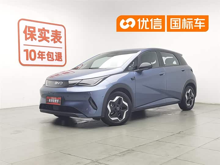 Dolphin 2025 smart driving version 420km free version