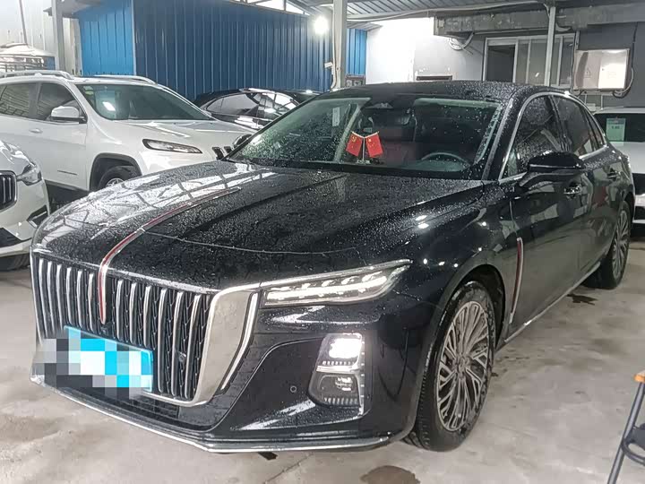 Hongqi H5 2024 2.0T Automatic Zhilian Qichang Edition