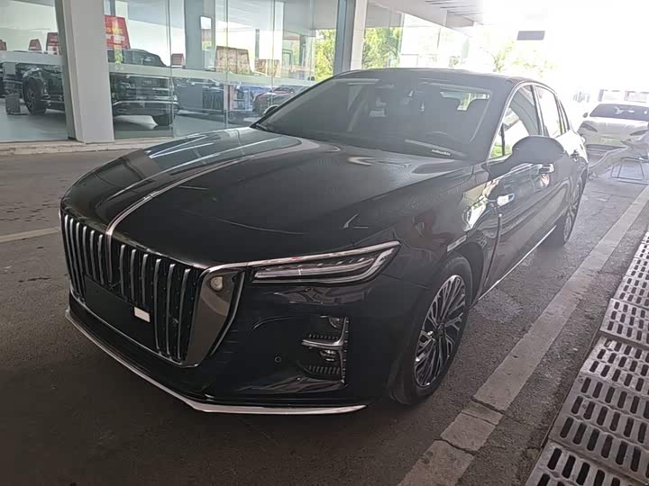 Hongqi H5 2024 2.0T Automatic Zhilianqichang Edition