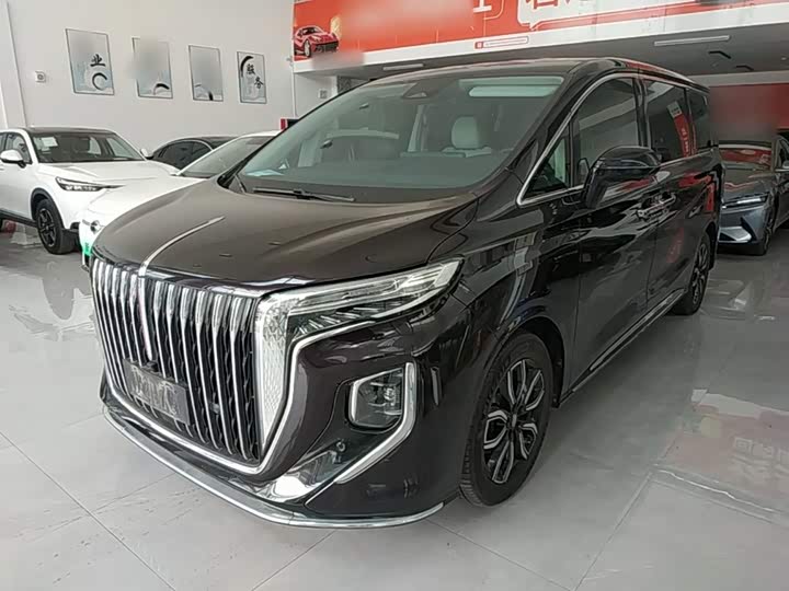 Hongqi HQ9 2023 2.0T Zhilian Qiling Edition