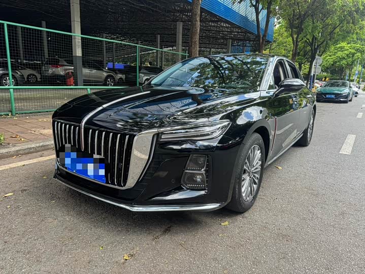 Hongqi H5 2023 2.0T Automatic Zhilianqichang Edition