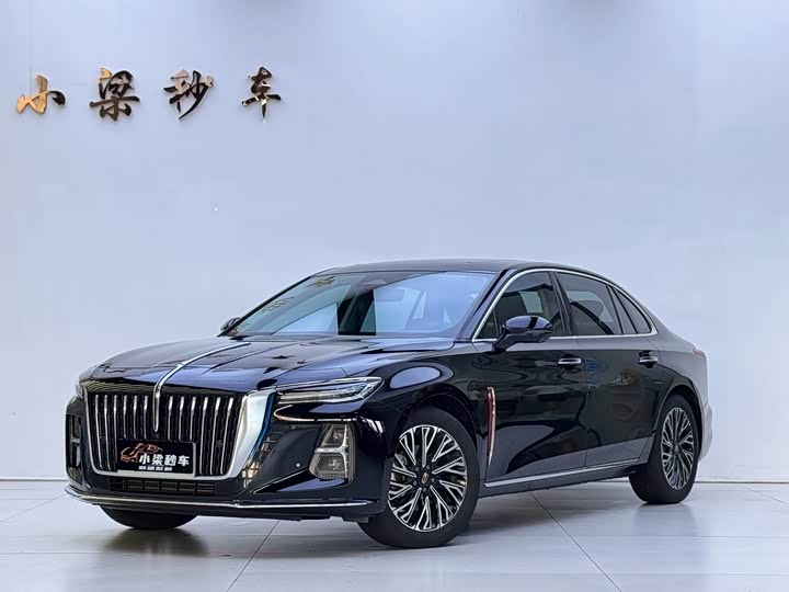 Hongqi H5 2024 2.0T Automatic Zhilianqichang Edition