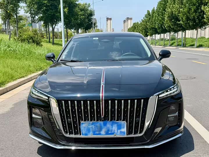 Hongqi H5 2023 2.0T Automatic Zhilianqichang Edition