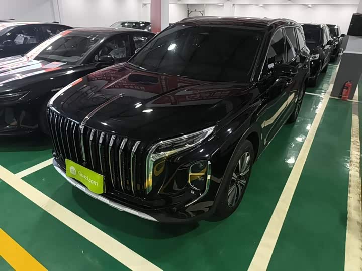 Hongqi HS7 PHEV 2025 2.0T PHEV four-wheel drive 2 million units commemorative edition 6 seats