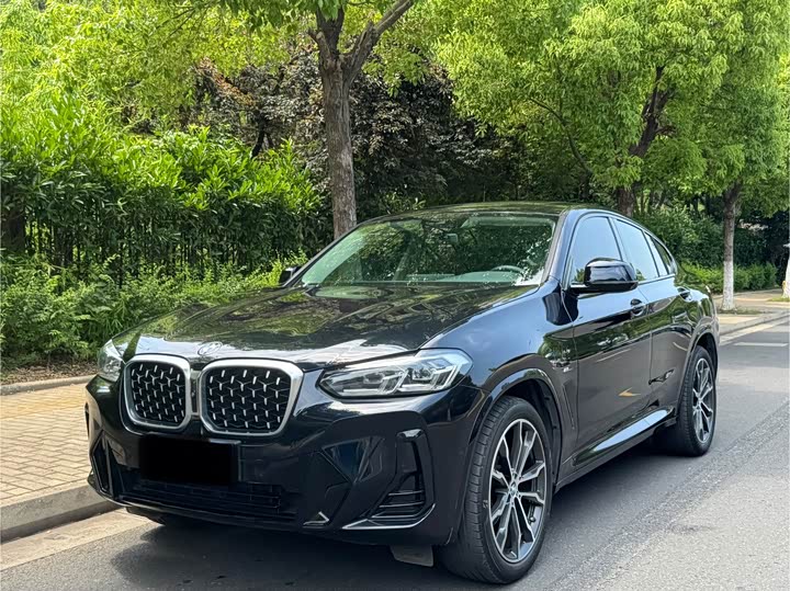 BMW X4 2022 xDrive 30i M Sports Package