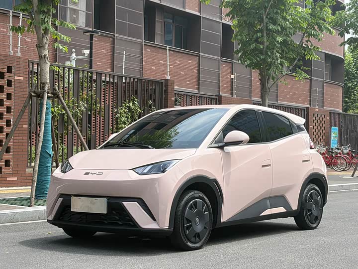 2023 Seagull 2023 Vitality Edition