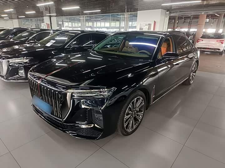 Hongqi H9 2024 2.0T Qixiang Private Fashion Edition