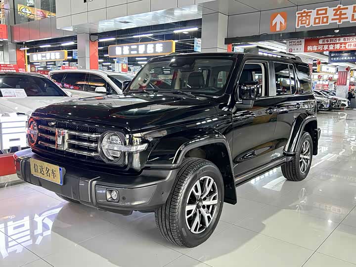 2023 Tank 300 2023 City Edition 2.0T Very Stylish