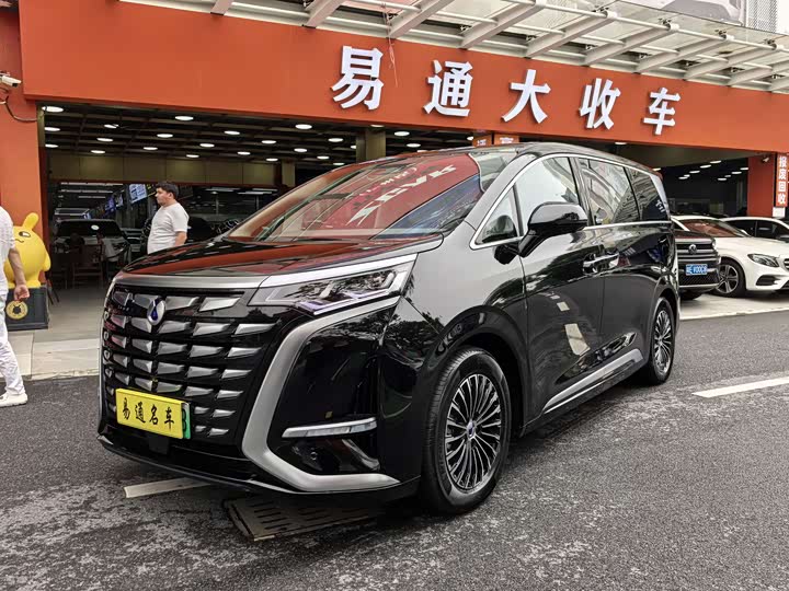 Denza D9 2022 DM-i 1040 Premium Type