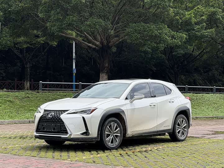 Lexus UX New Energy 2020 300e Pure Edition