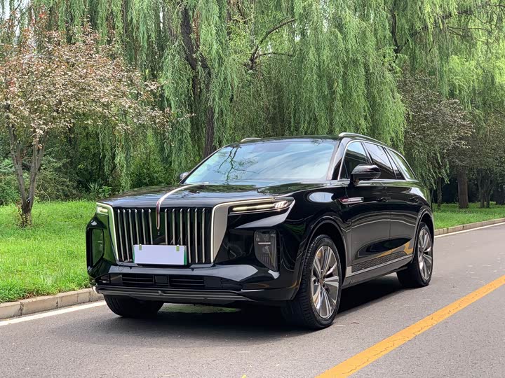 Hongqi E-HS9 2022 model 690km flagship version six seats