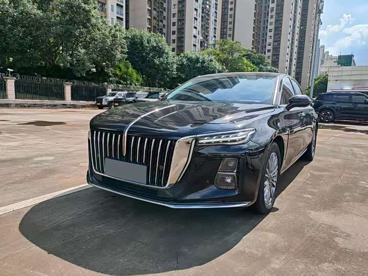 Hongqi H5 2023 2.0T Automatic Zhilianqichang Edition