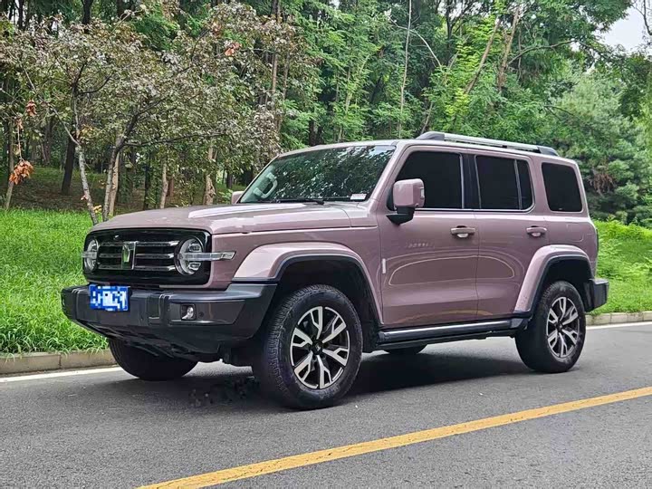 Tank 300 2023 City Edition 2.0T Very Stylish