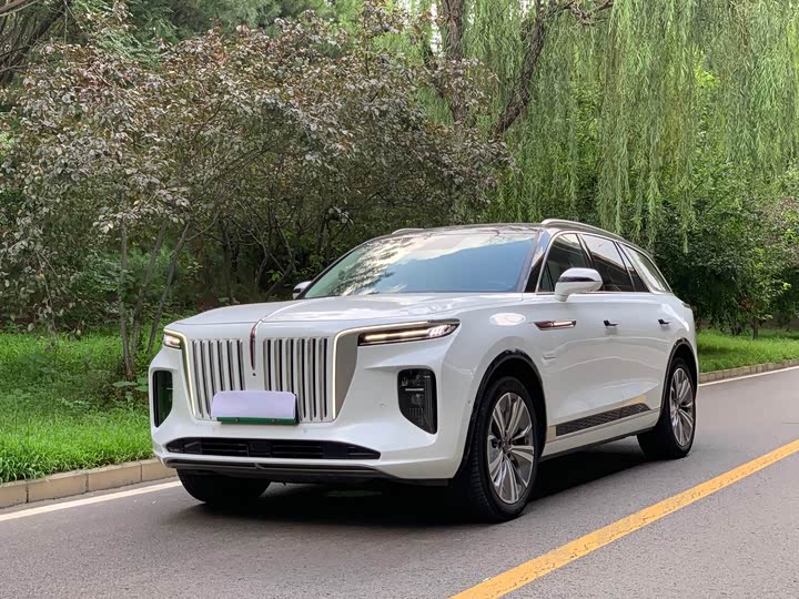 Hongqi E-HS9 2022 model 690km flagship version six seats