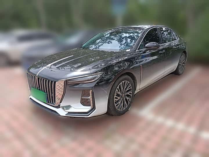 Hongqi H5 2025 2.0T automatic flag collar version
