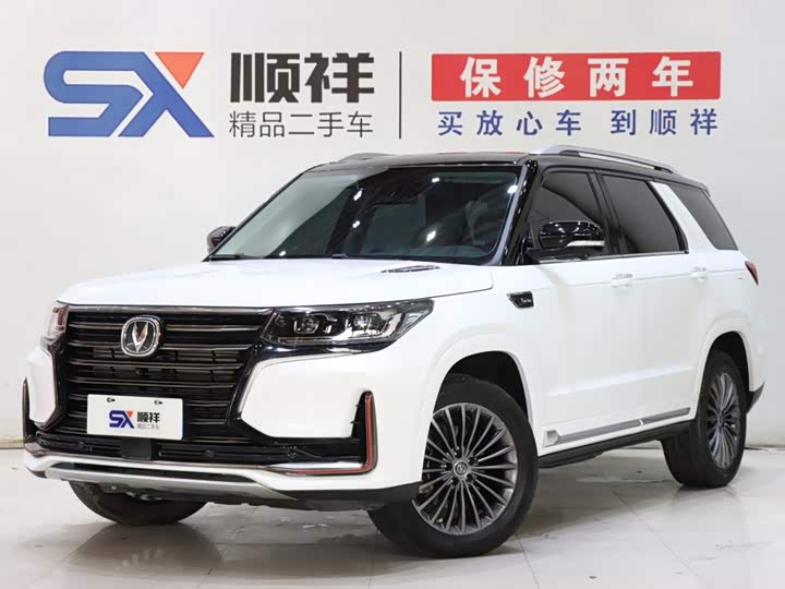 Changan CS95 2021 2.0T two-wheel drive luxury model