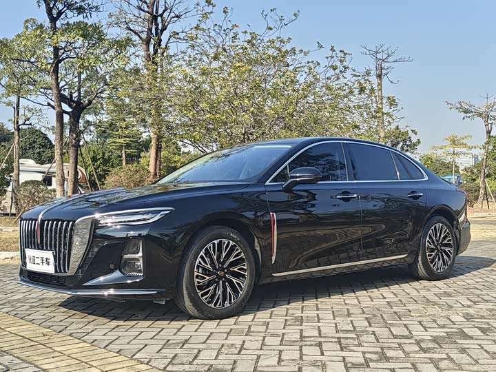 Hongqi H5 2024 2.0T Automatic Zhilianqichang Edition