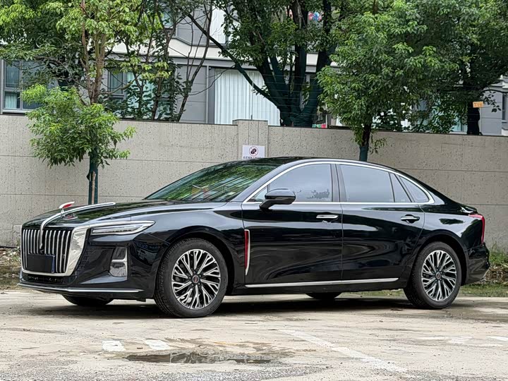 Hongqi H5 2025 2.0T automatic Qichang version