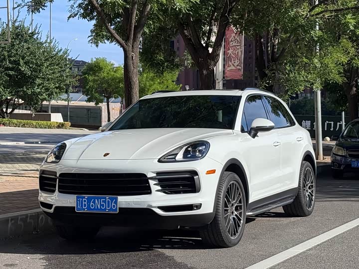 Cayenne 2022 Cayenne 3.0T Platinum Edition