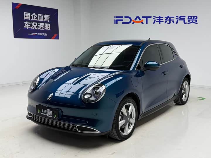 Euler Good Cat 2023 model 401km standard battery life luxury model lithium iron phosphate