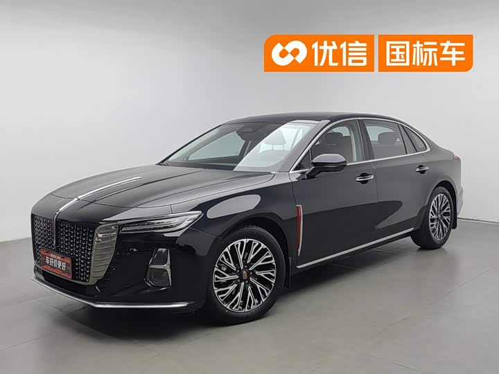 Hongqi H5 2024 2.0T Automatic Zhilianqichang Edition