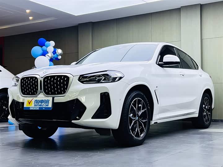 BMW X4 2022 xDrive25i M Sport Package