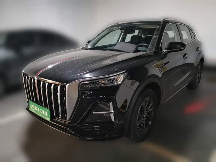 Hongqi HS5 2025 2.0T two-wheel drive Qixiang Pro version