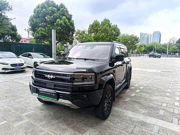 Leopard 5 2025 125KM Tianshen Smart Driving Ultra Edition