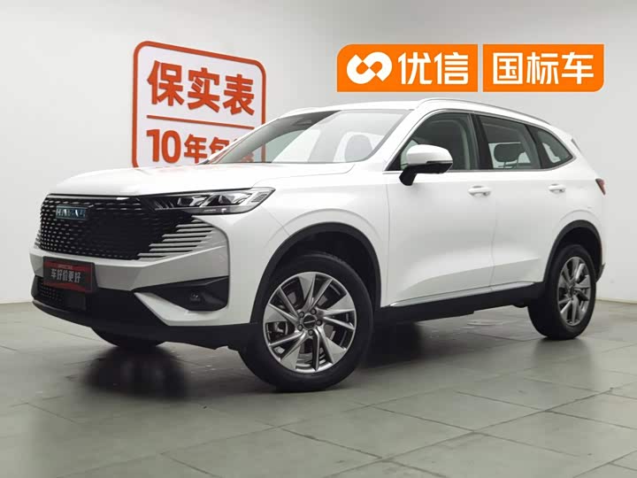 Haval H6 New Energy 2023 DHT-PHEV 55KM Yuexing Edition