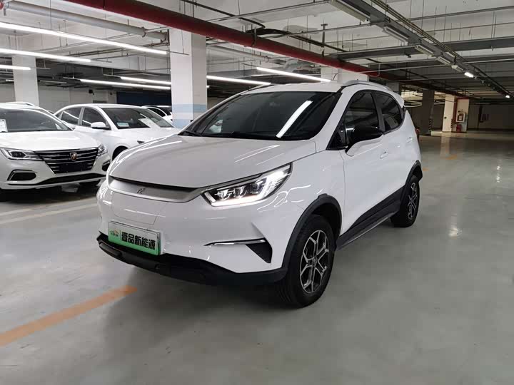 Yuan Pro 2023 model 401KM luxury model